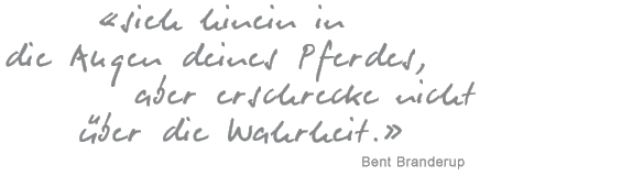 «Richtig reiten reicht.» (Major a. D. Paul Stecken)